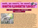 Приватне підприємство Оленівіт, виробництво постілі, гуртова торгівля виробами з вовни