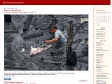  Щоденні ілюстрації - Каталог ресурсів