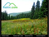 Rahiv.com - путівник по Рахівщині - Каталог ресурсів