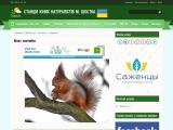 Білка звичайна - Тварини - Зоологія  - Каталог ресурсів